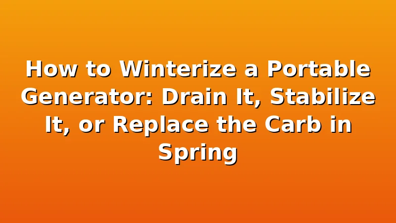 How to Winterize a Portable Generator: Drain It, Stabilize It, or Replace the Carb in Spring - WattBreeze review with measurements and honest opinion
